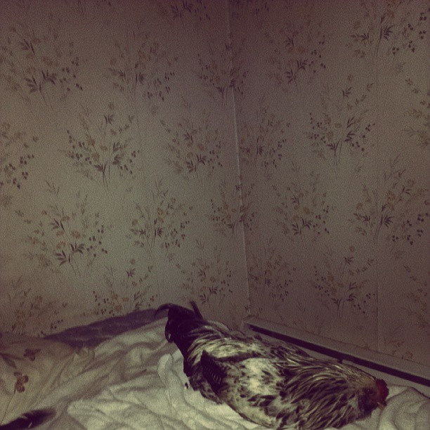 bedtime
