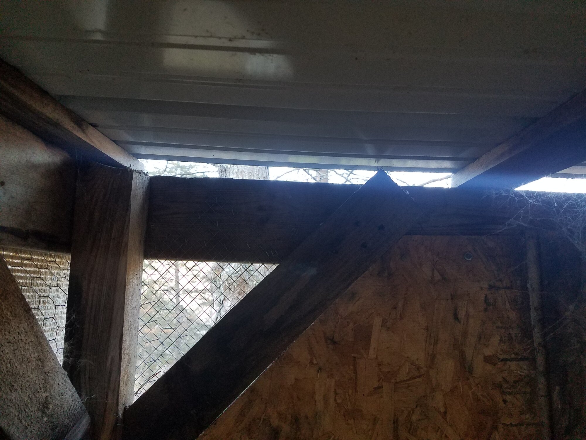Before: Openings between the roof-panels and the wooden structure