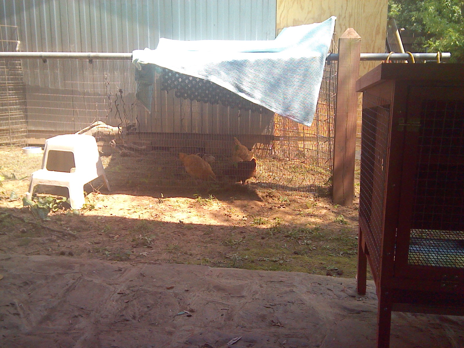 before the roof was done