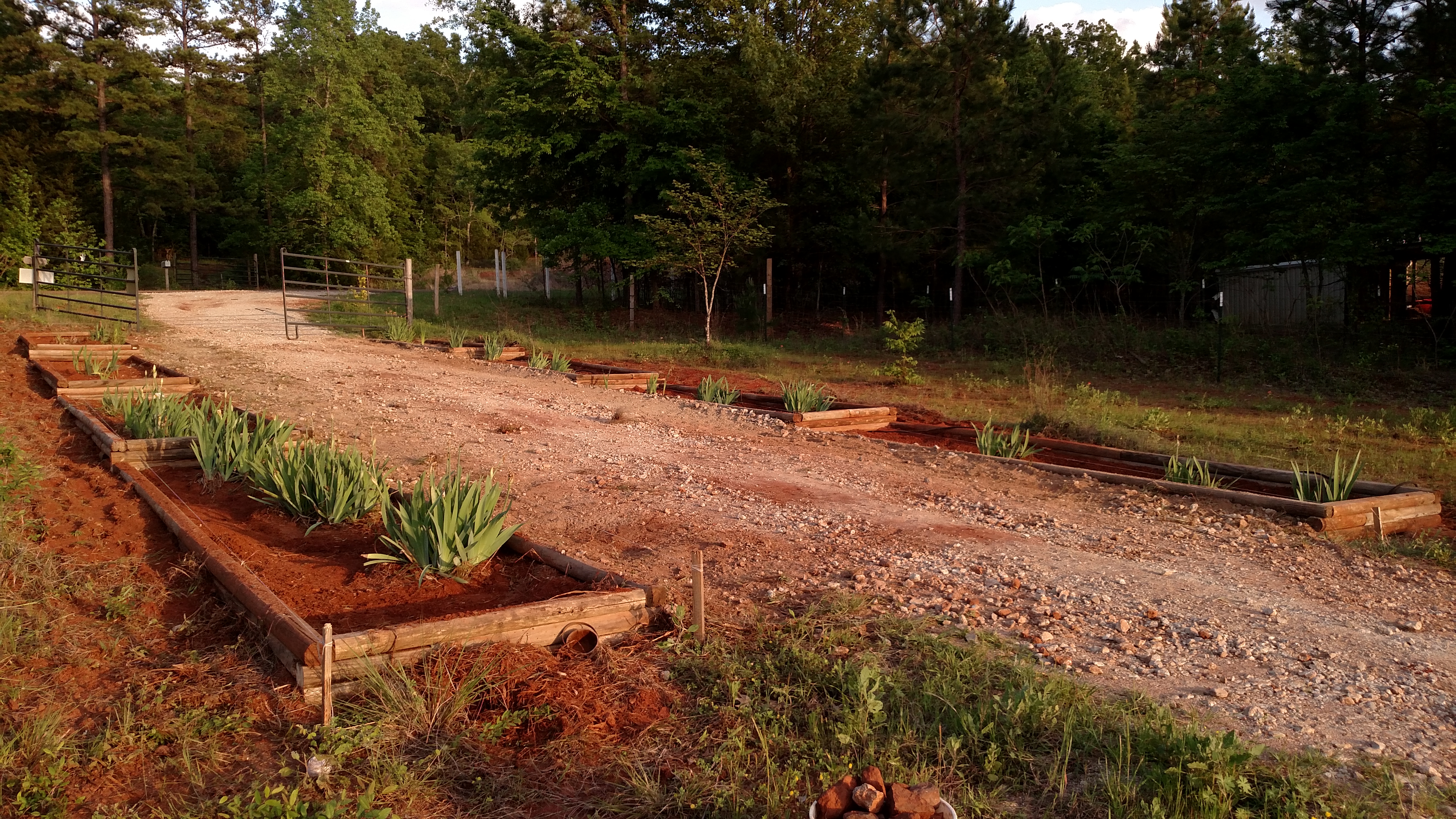 Began initial landscaping and terracing of front entrance flower beds.  3 days of back breaking work with a shovel, hammer and landscape timbers.  Should have posted before pics.  Hoping to get filled with good dirt and full of flowers.
