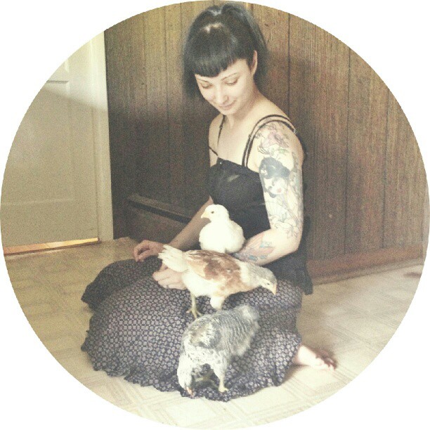 Beginning (from top to bottom, Goldy, Fiona, Cinnamon)