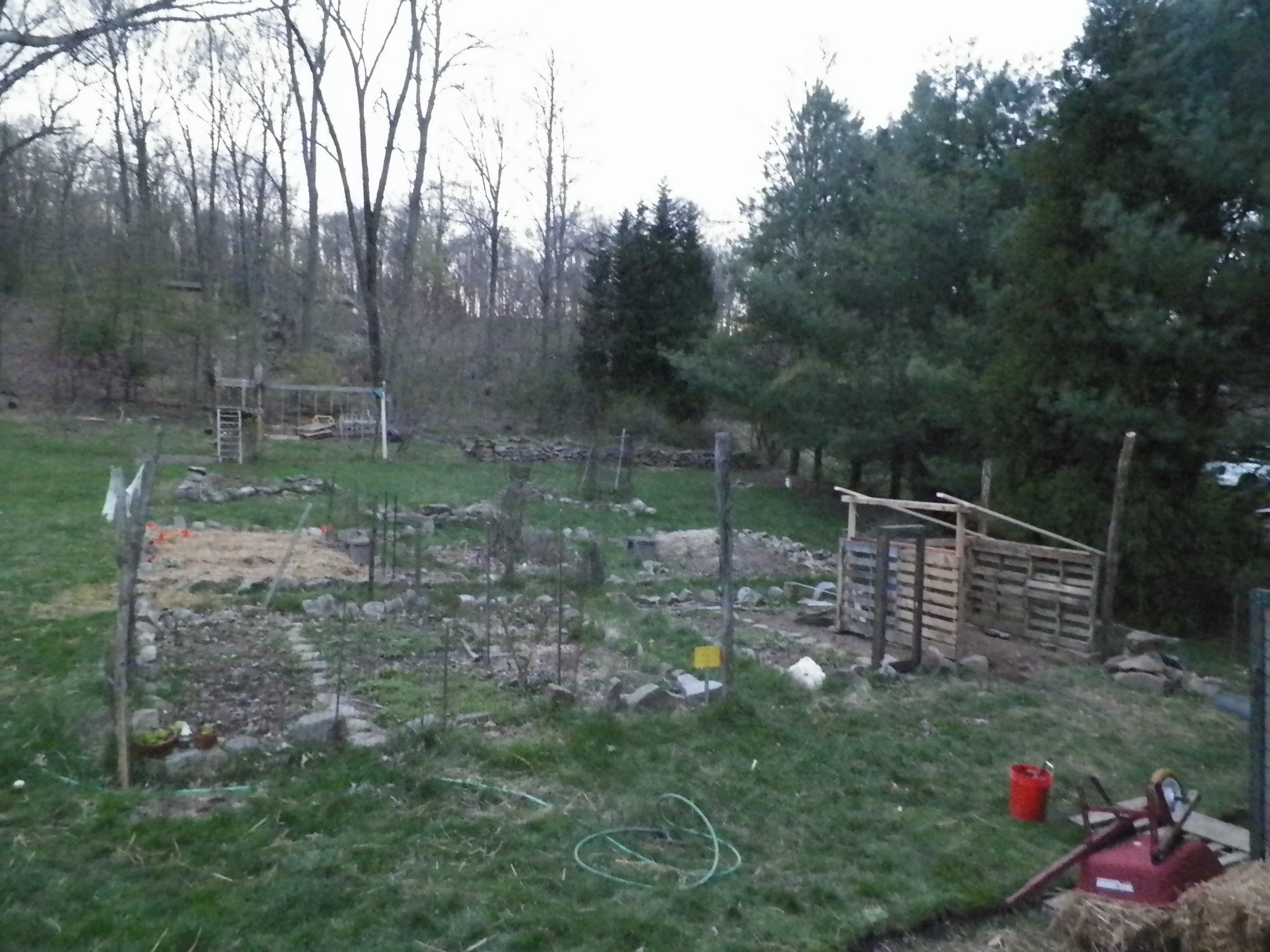 Beginning layout with pallets. These are our main garden beds. The front two are 16'x16' areas and we gave one entirely to the Coop and Run. It was never a strong producer.