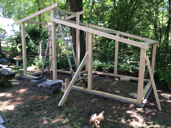 Beginning to take shape.