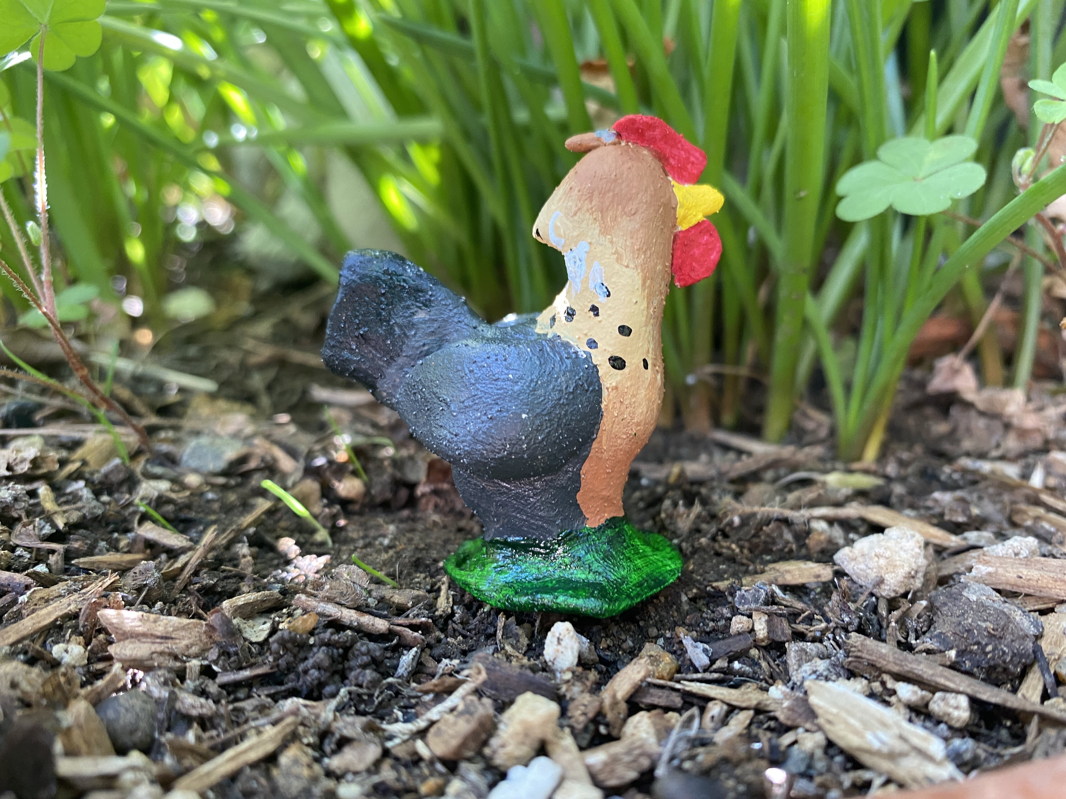 Beigie, a cream legbar hen.