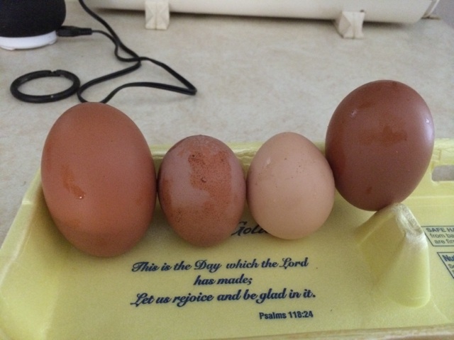 Believe it or not the bigger ones were laid prior to the smaller ones