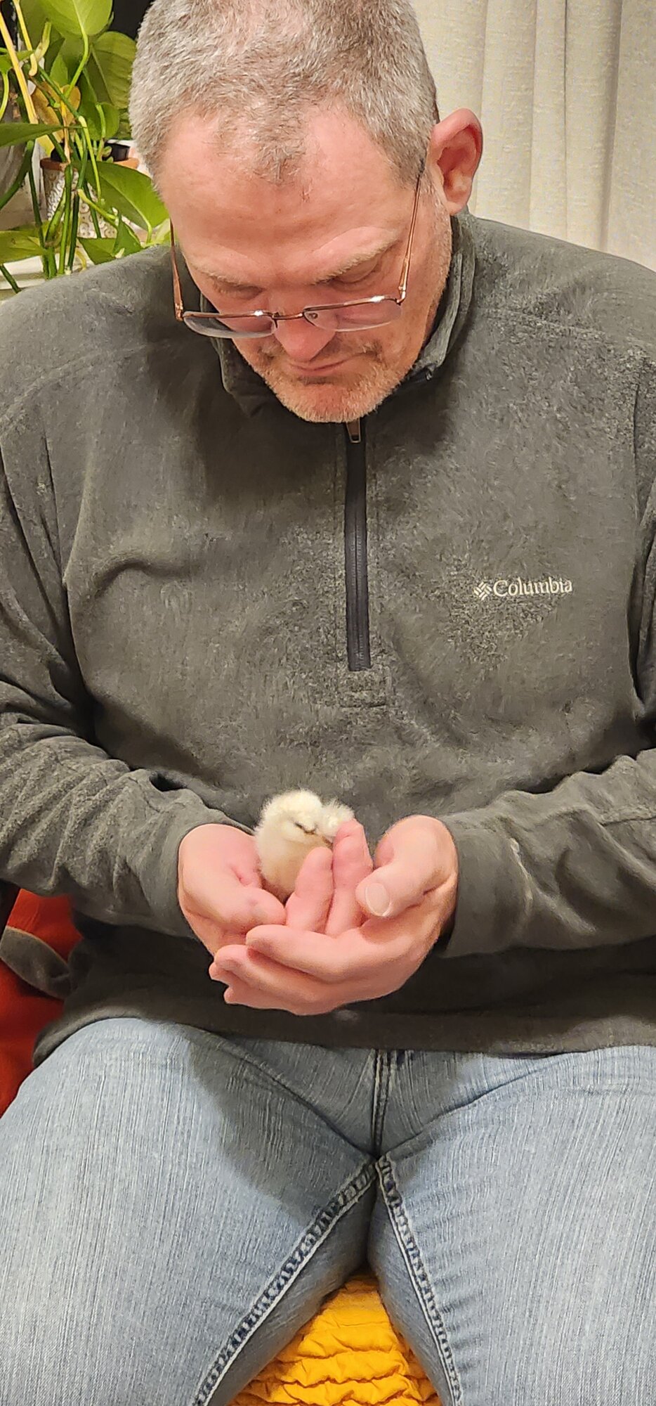 Bell at hatch 1.12.24