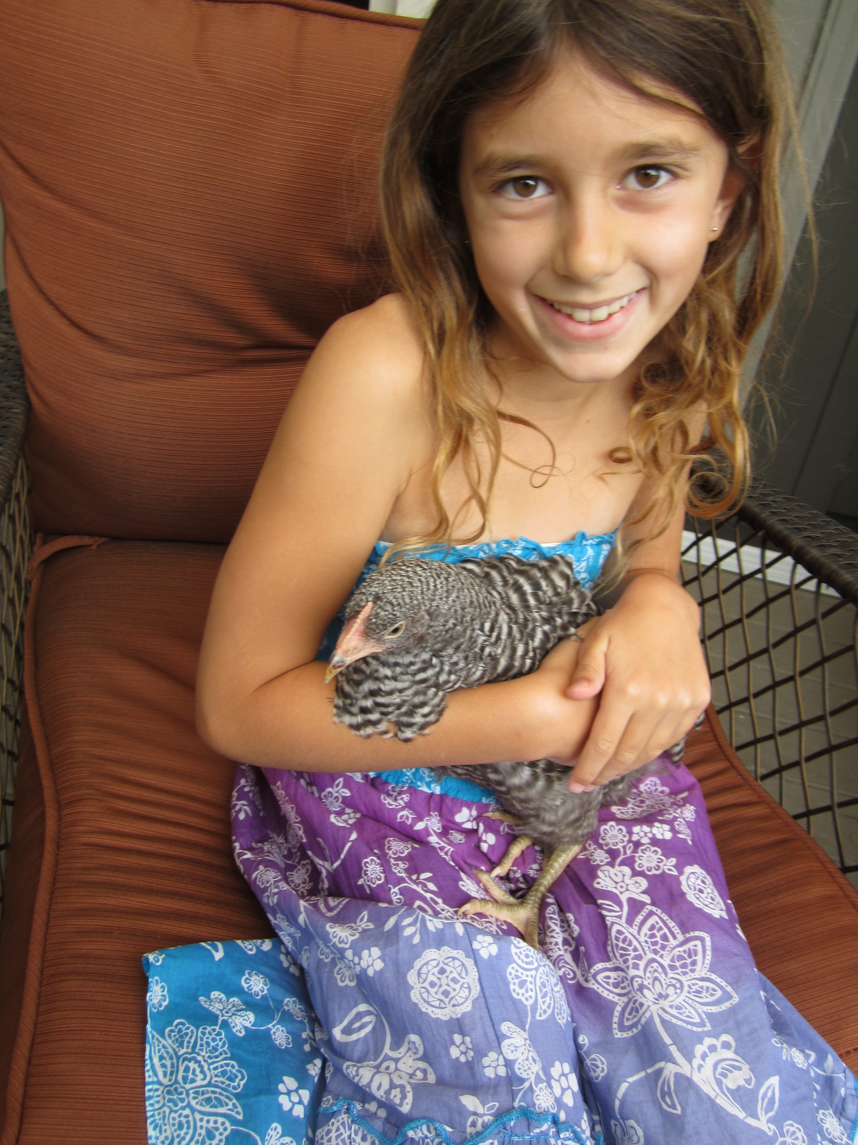 Bellina & Stripe