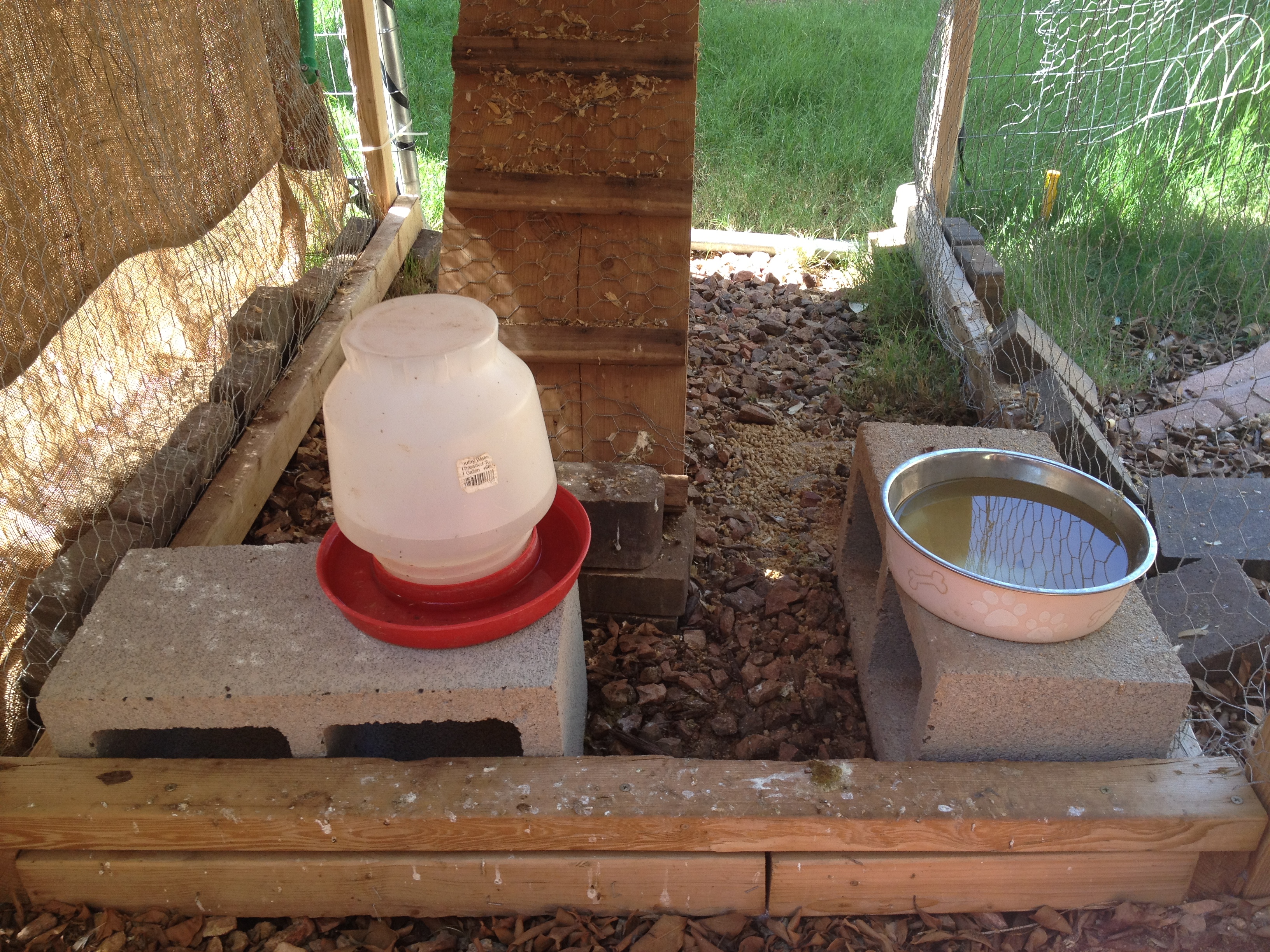 below the coop