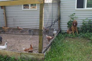 Berta and her "peeps"