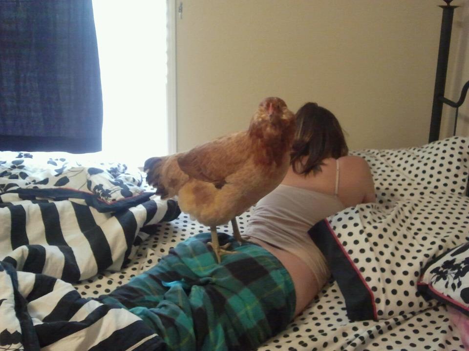 Bessie saying wake up!