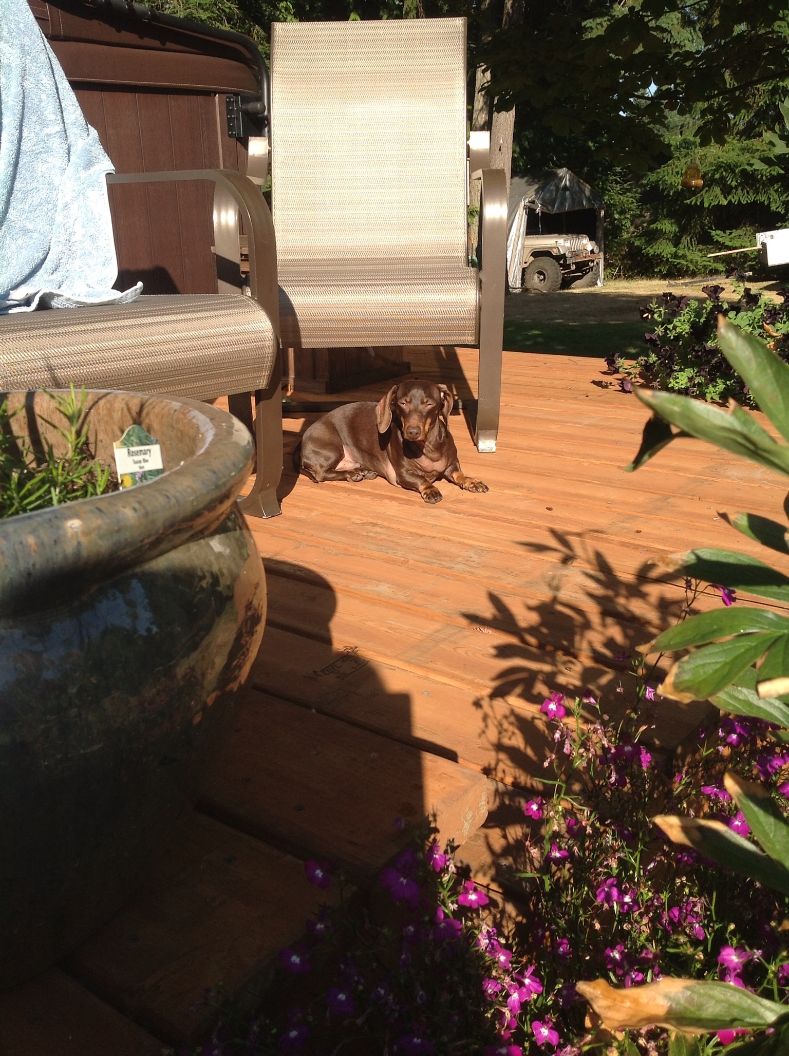 Best spot in the yard!