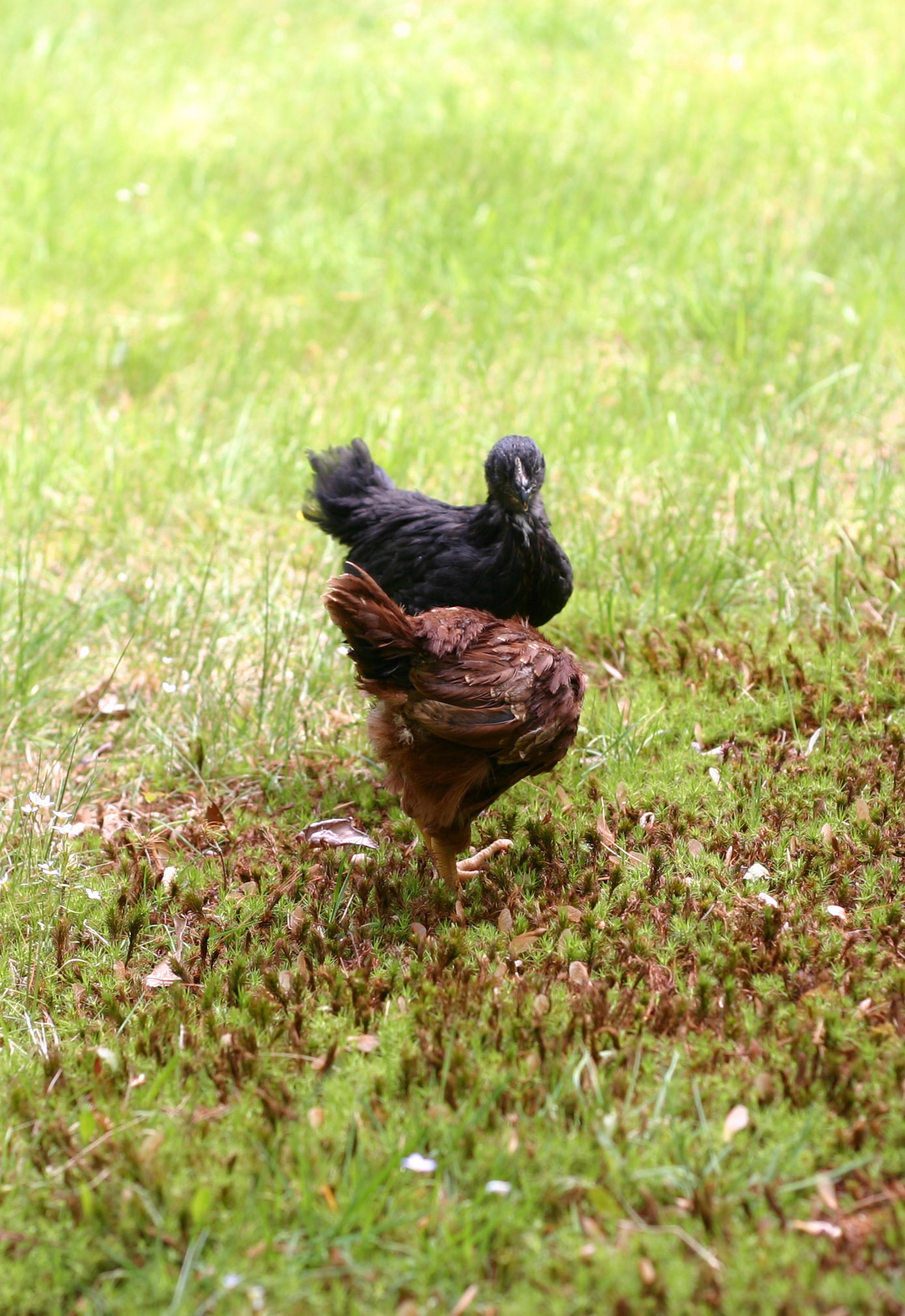 Betsy and Martha