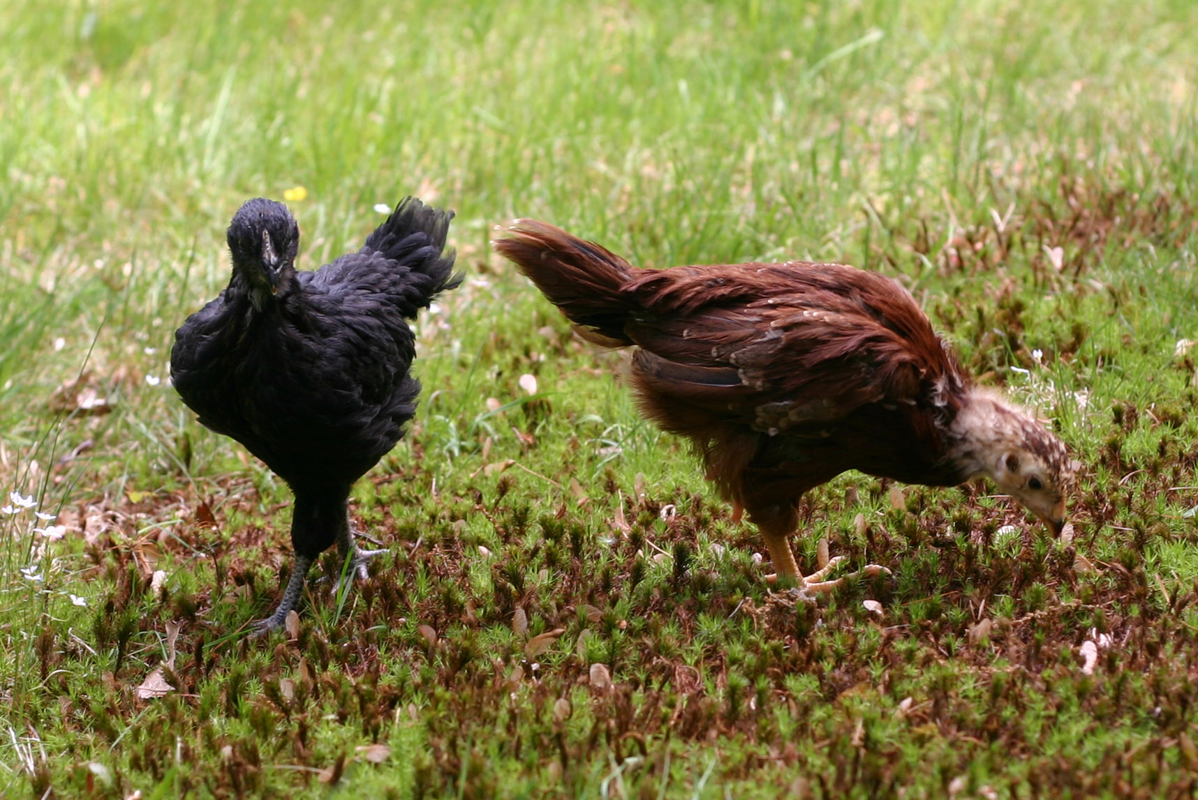 Betsy and Martha