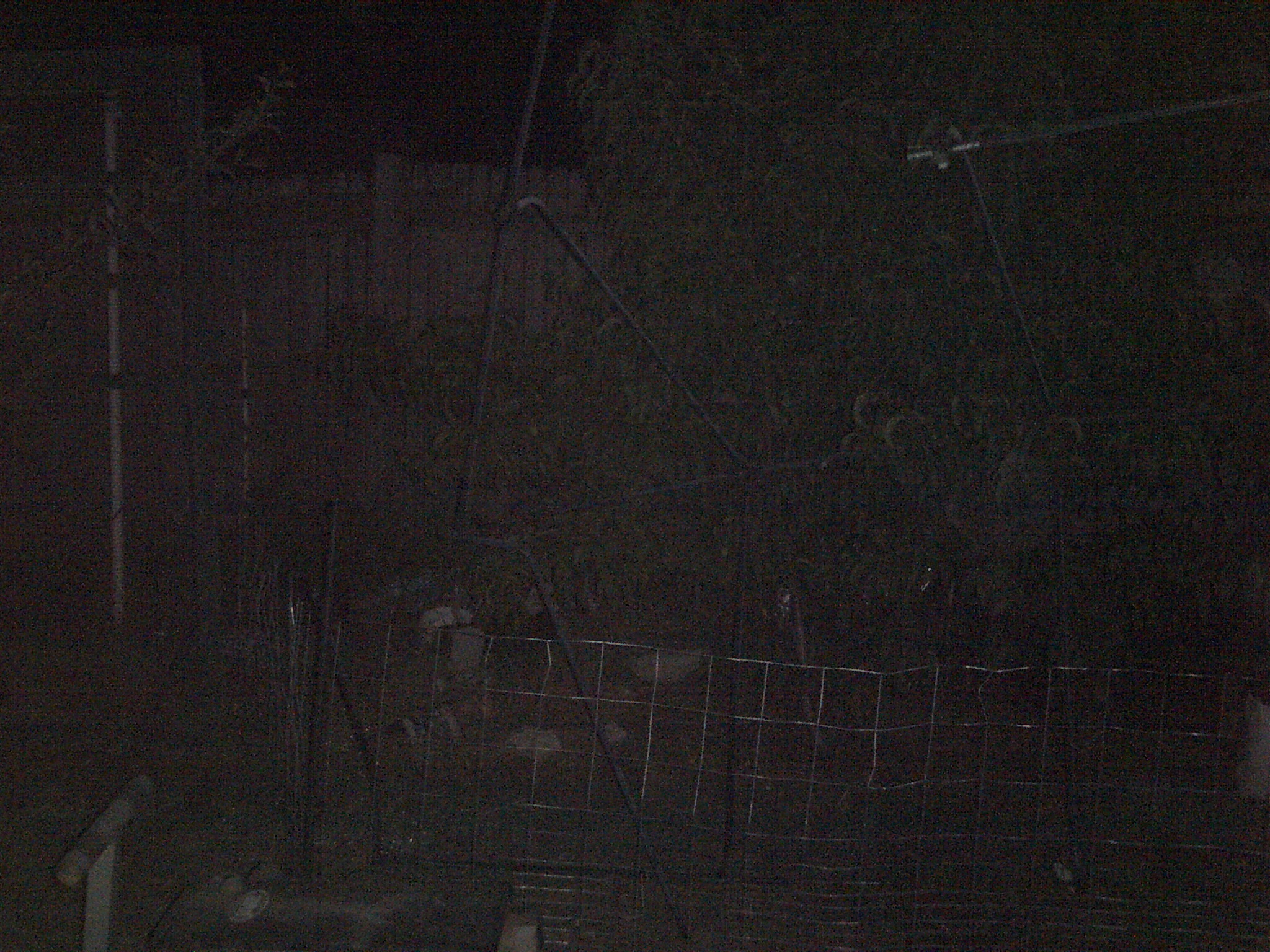 better pic of the peach tree