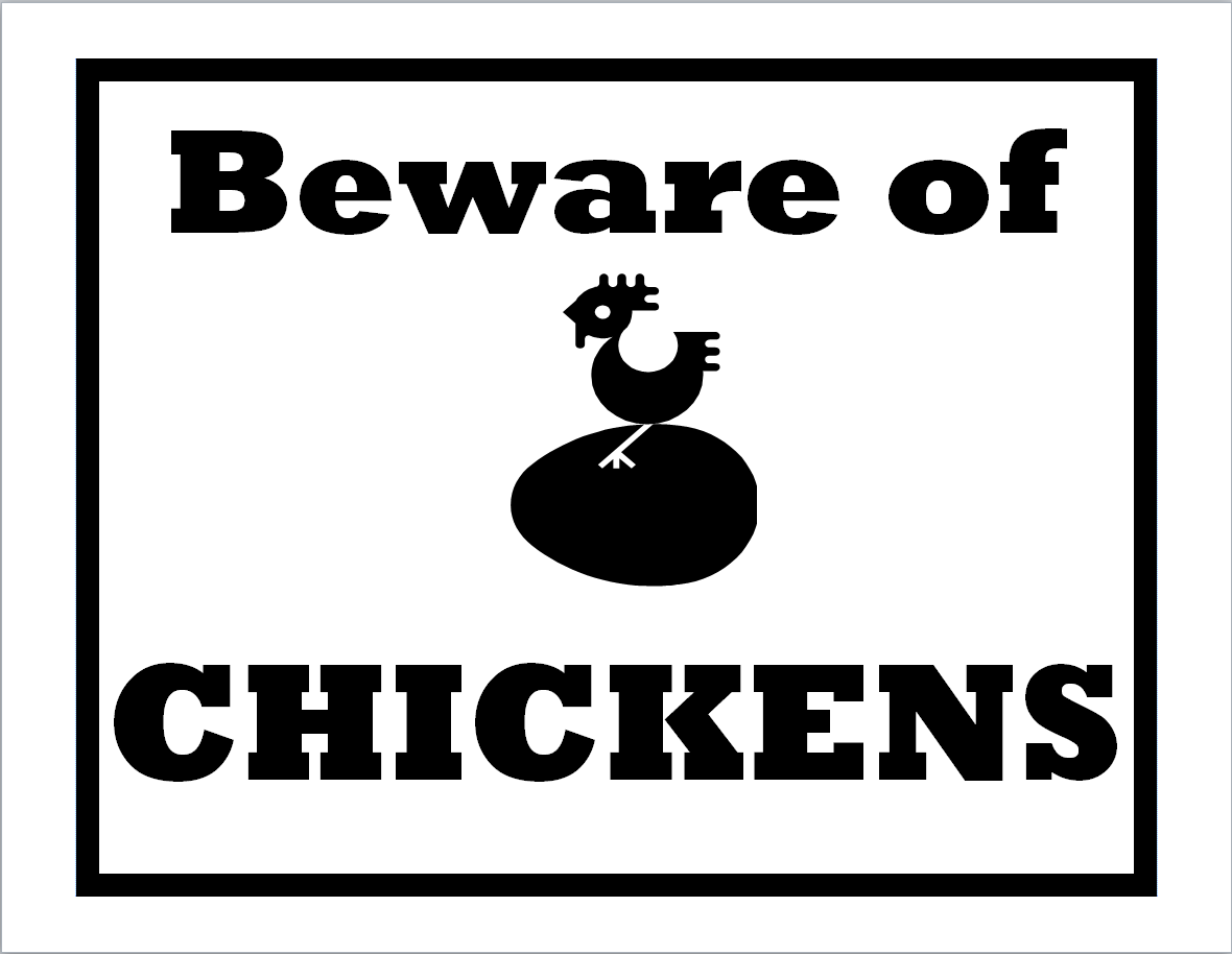 Beware of chickens