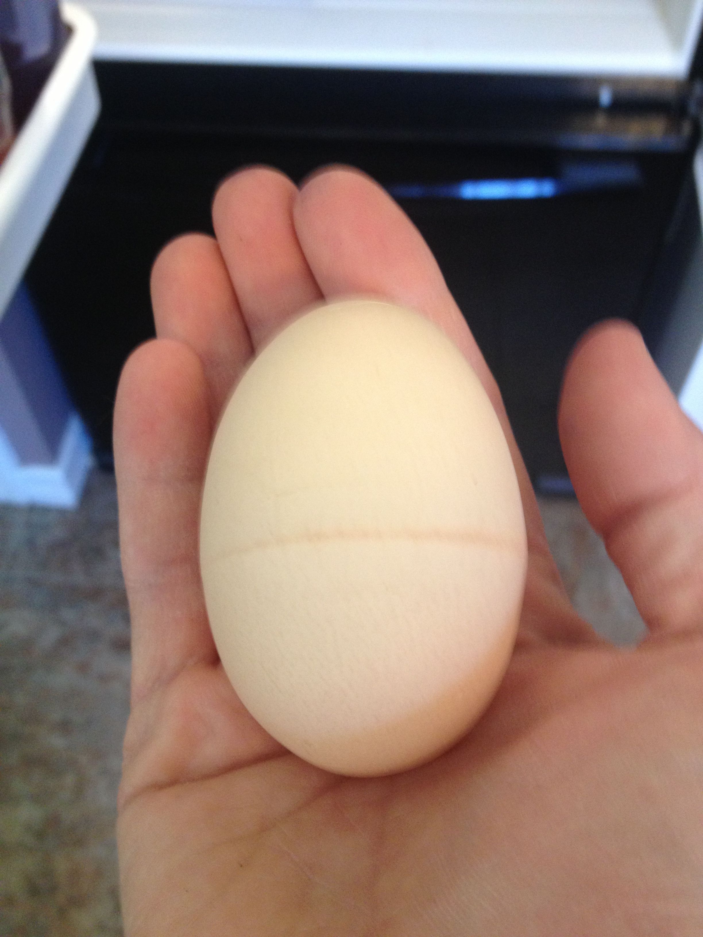BIG EGG!