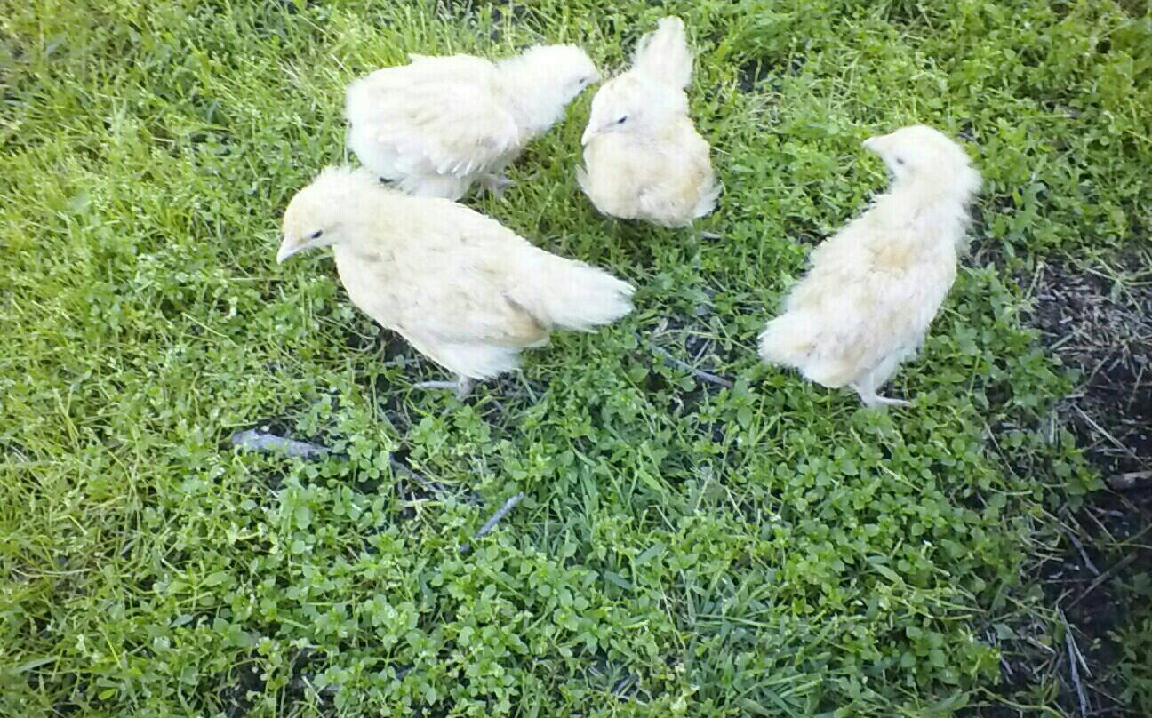 *
Big kids first trip outside.