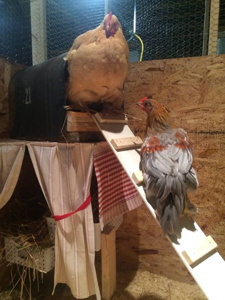 Big Mama and Adam <3