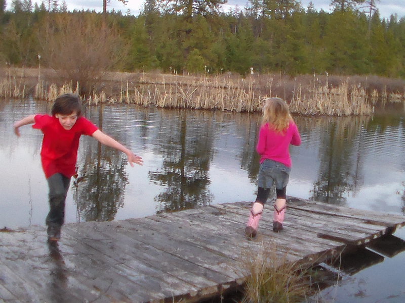 Big pond dock