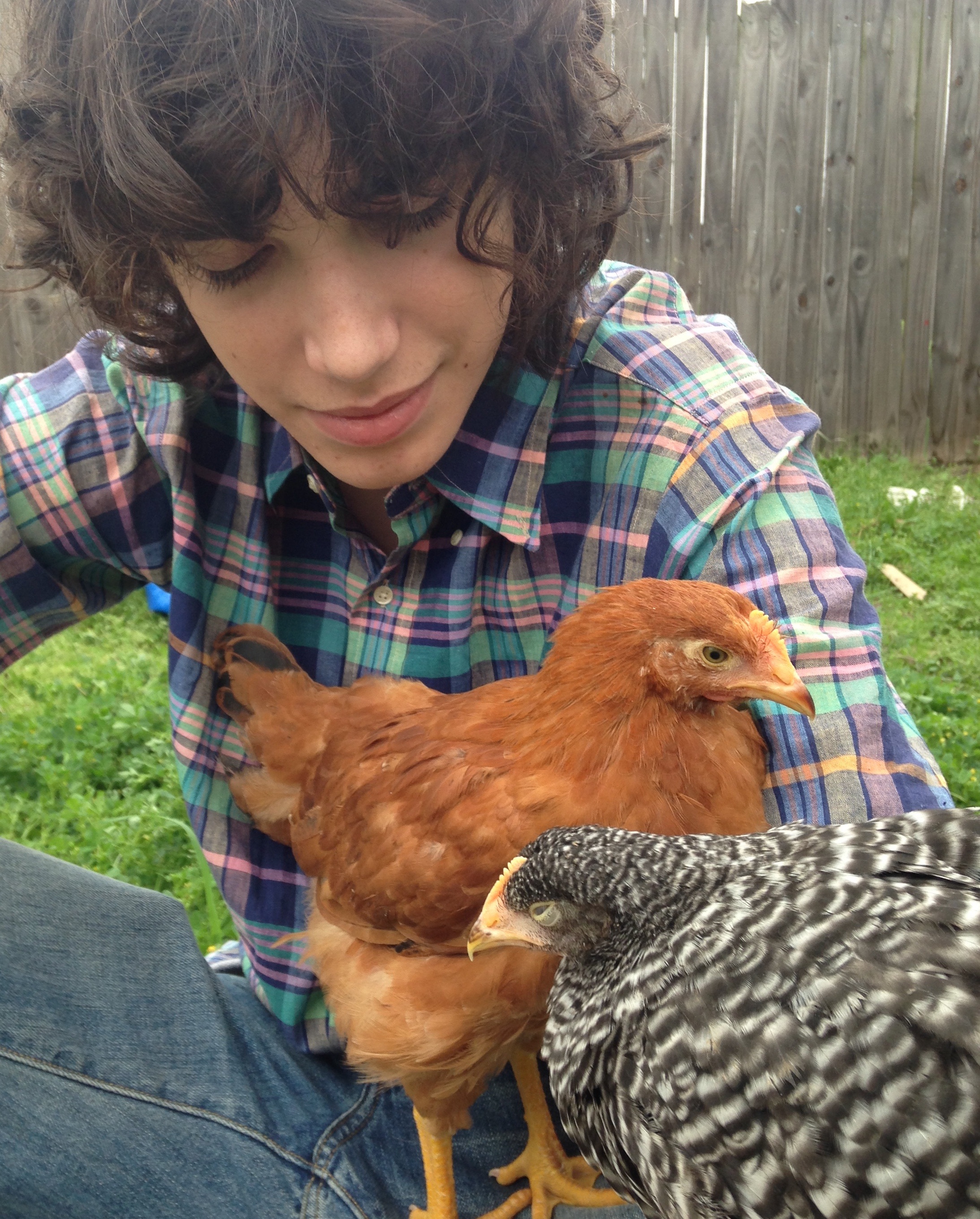 Bigger snowflake and Goldie