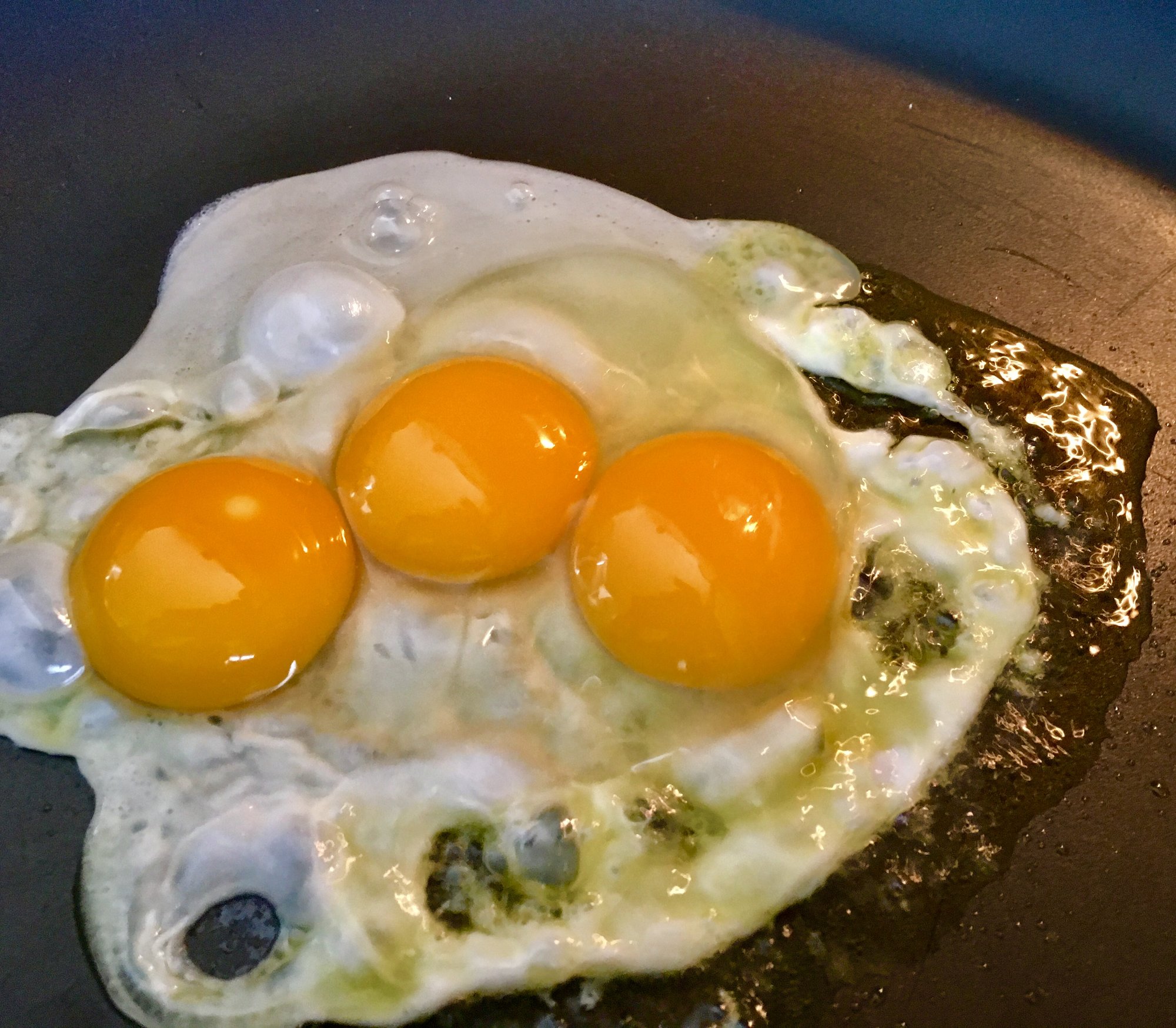 Biggest Egg Ever 1