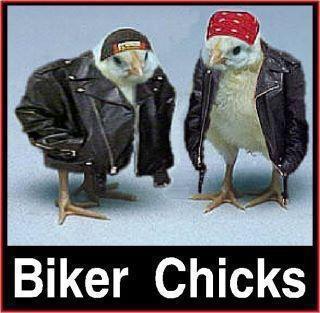 Biker Chicks