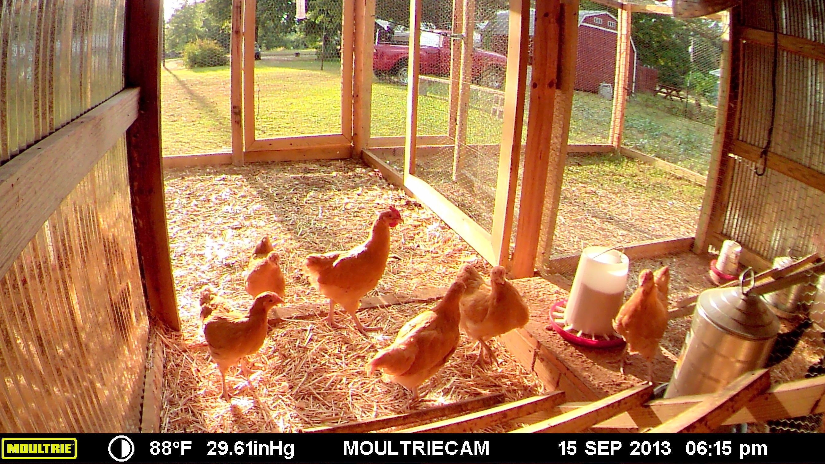 Bill and his young ladies! Same age!