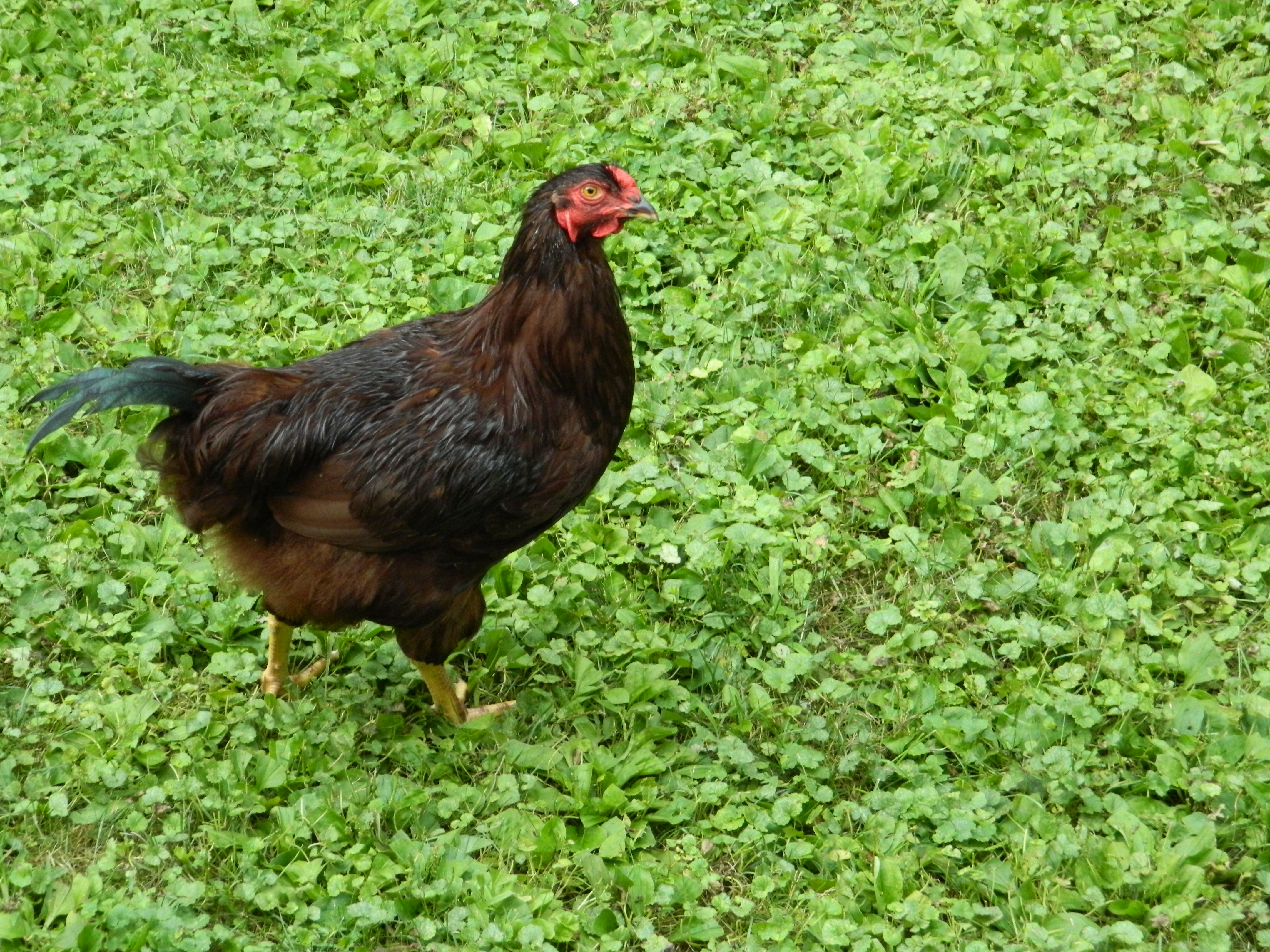 Bill--very standoffish.