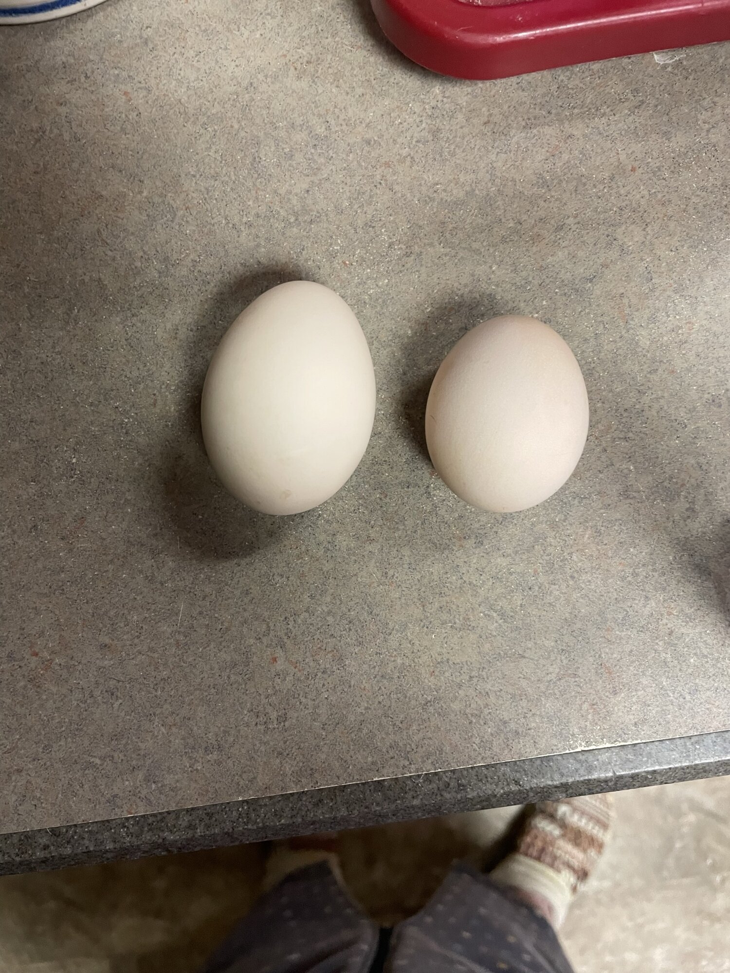 Blackie's Eggs