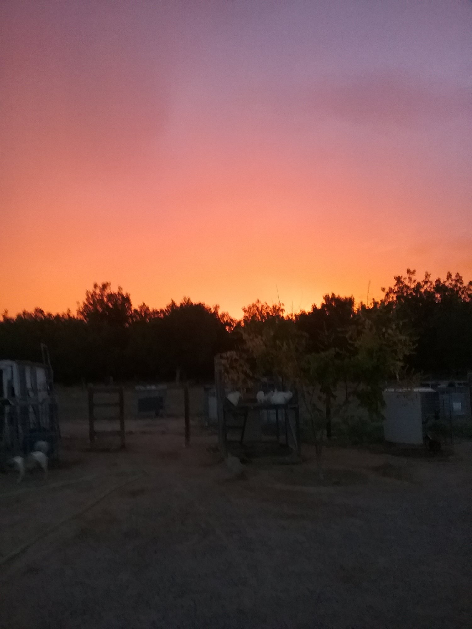 Blazing Sunset