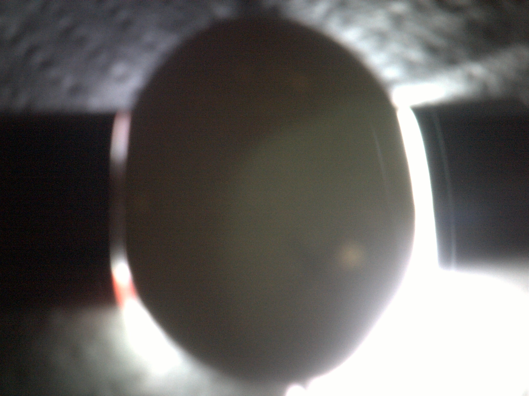 Blue bantam egg candleing Day14 nothing at all (no veins no movement) second largest air cell