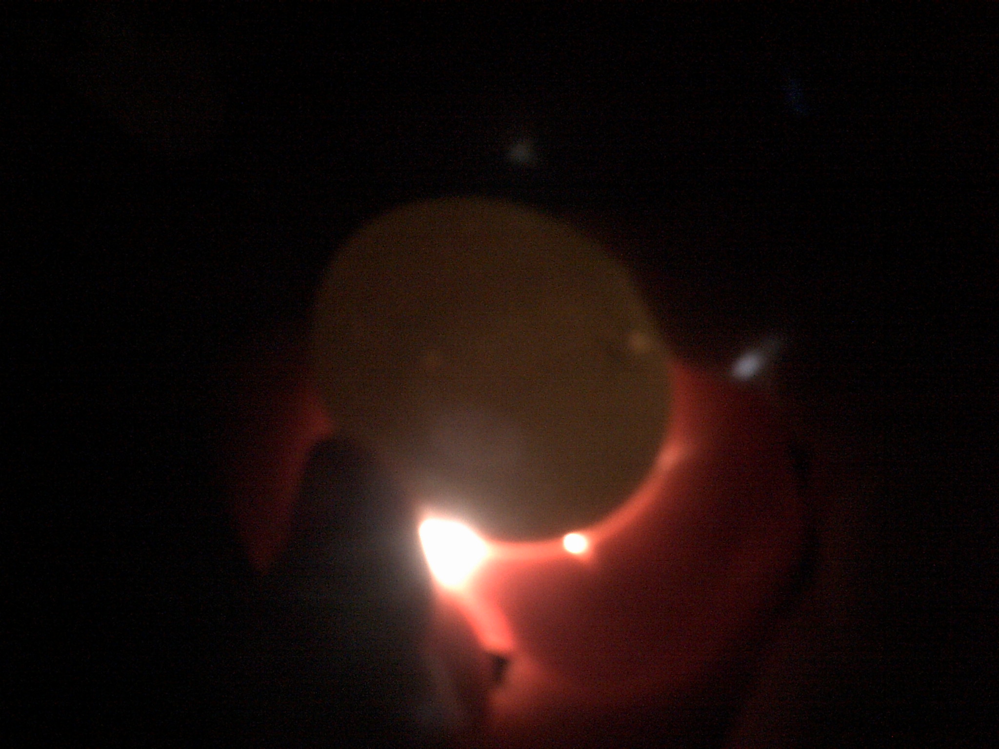 blue Bantam egg with moving air cell