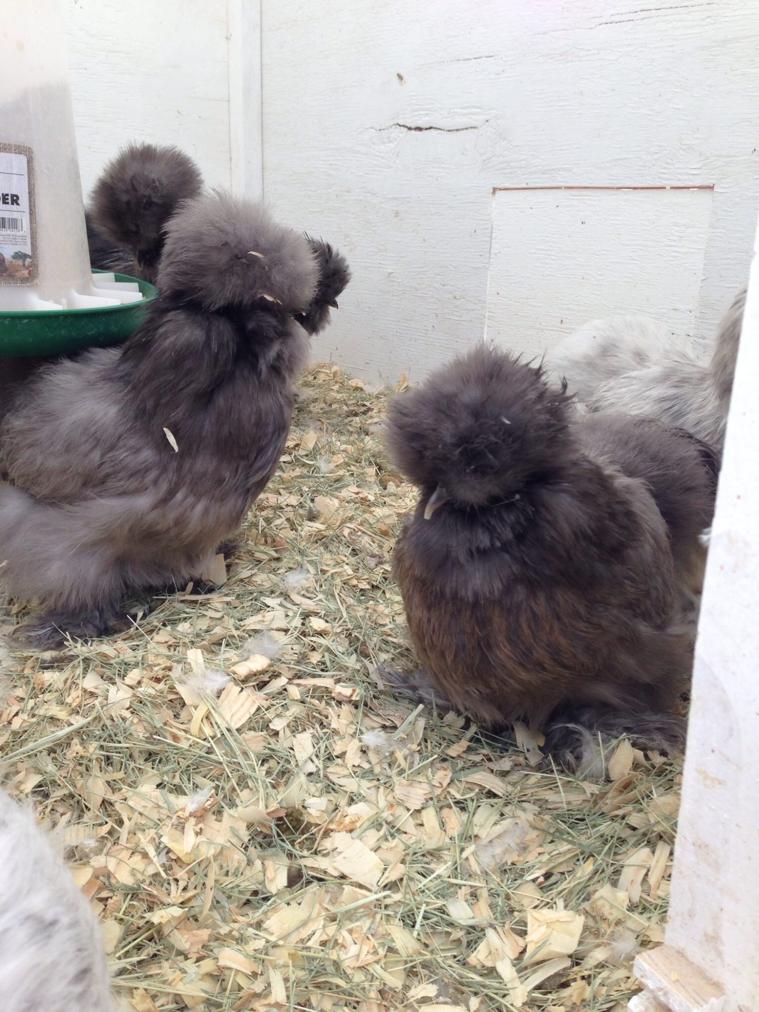 Blue-Black-Splash Pen