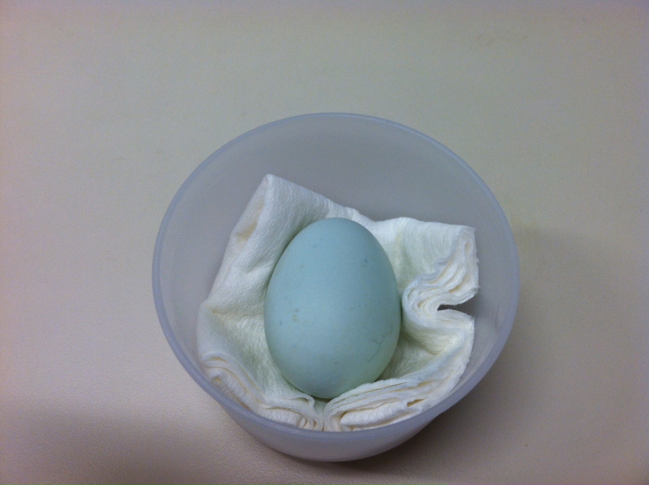 Blue Egg!