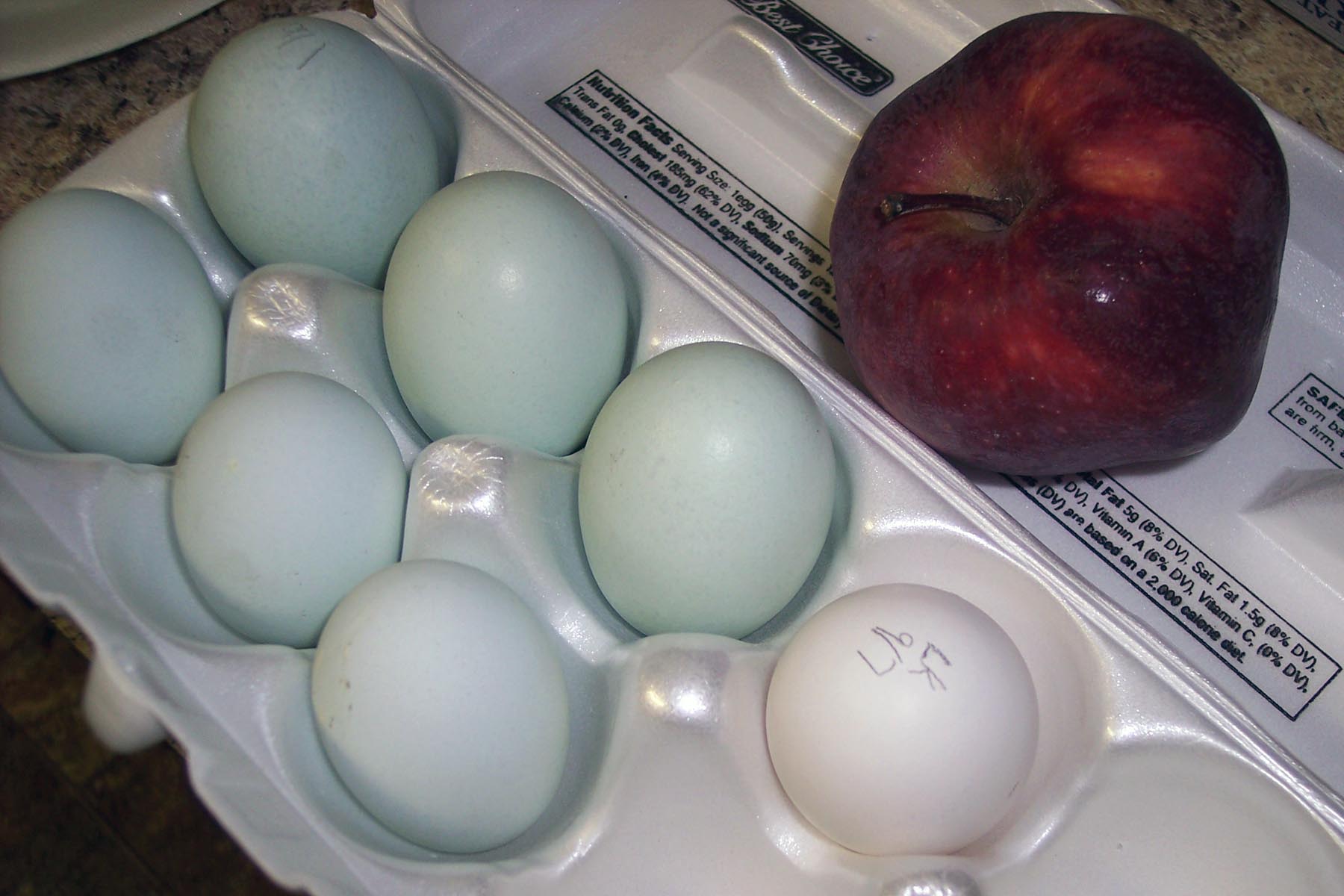 blue eggs with white egg for reference