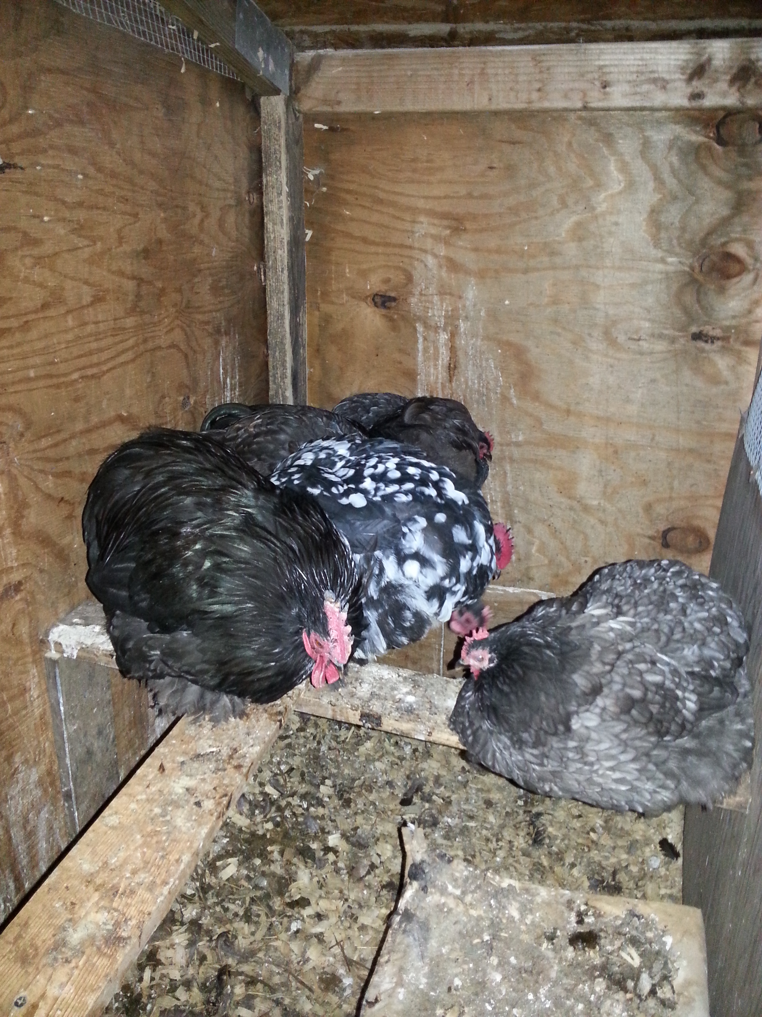 Blue girl is sooooo sweet!