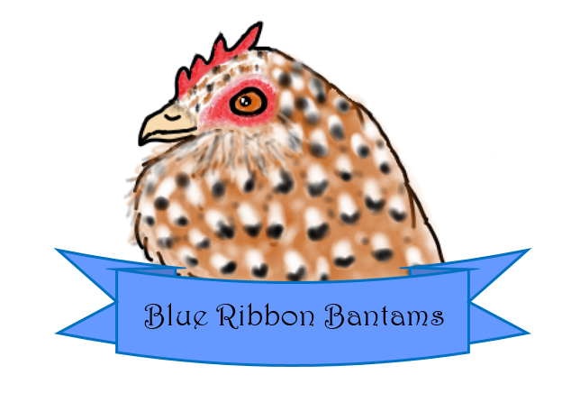Blue Ribbon Bantams Final Logo