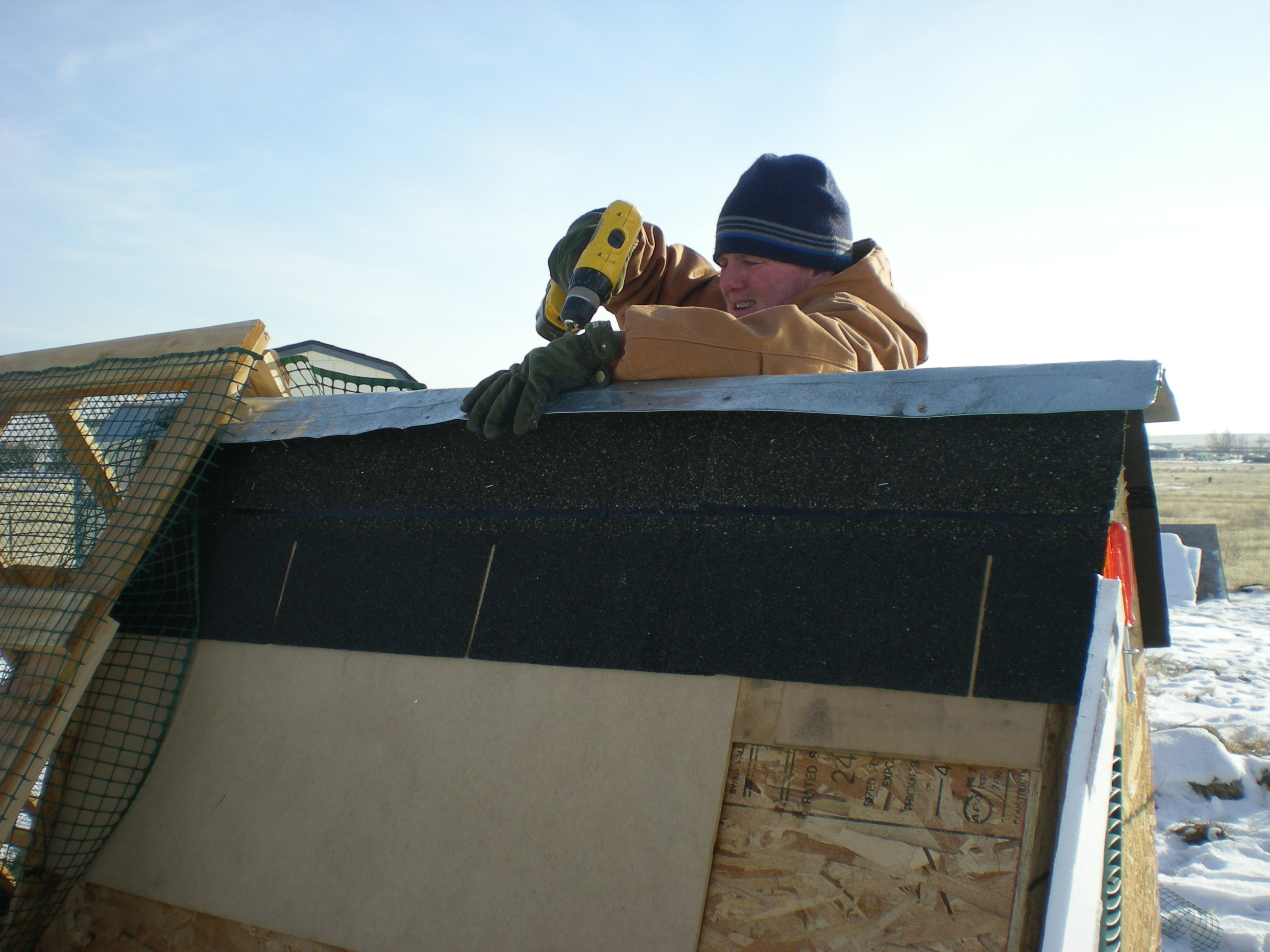 Bob working on the roof of the coop and putting up the shingles.