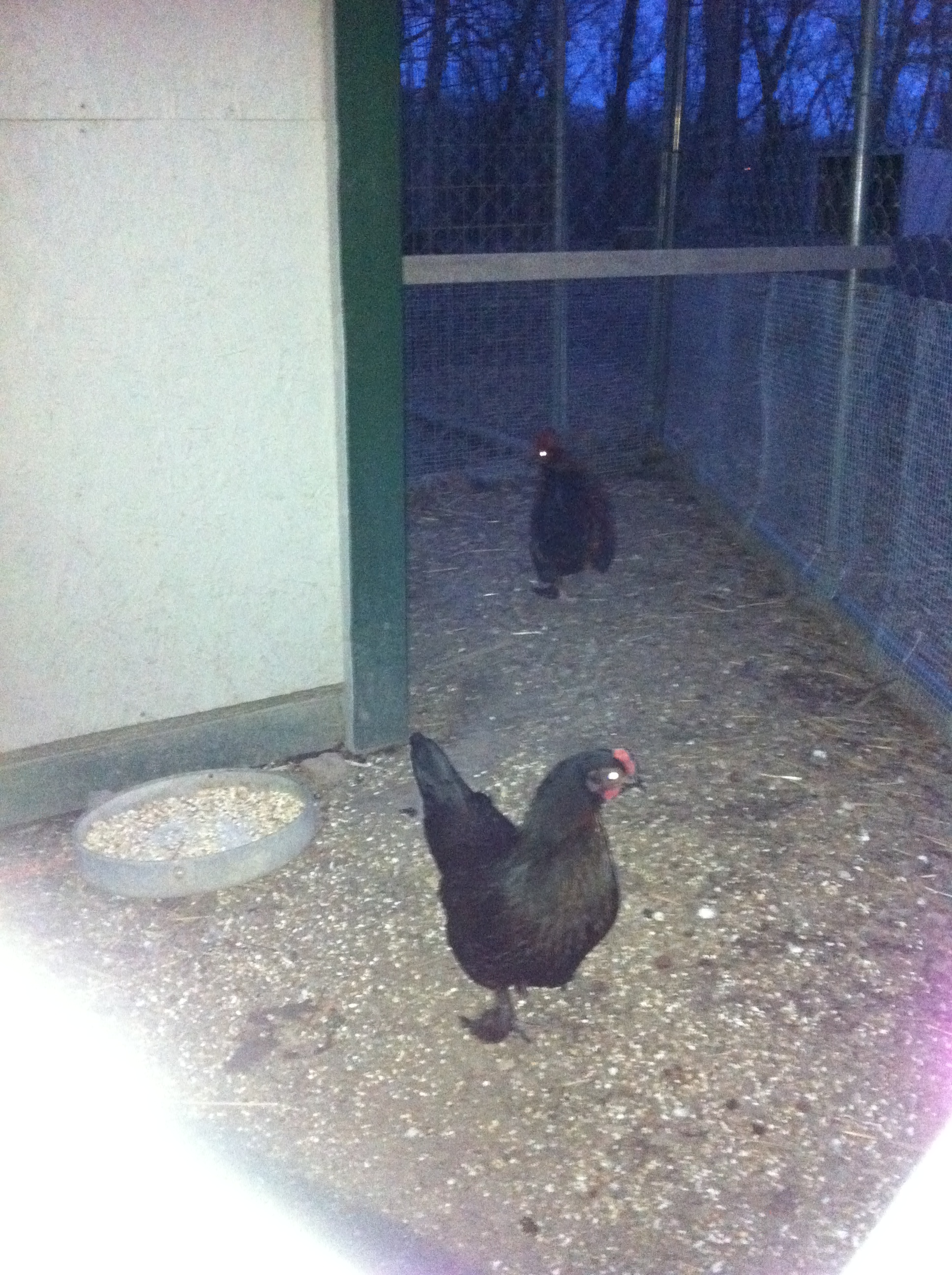 Bonnie and Clyde on date night.