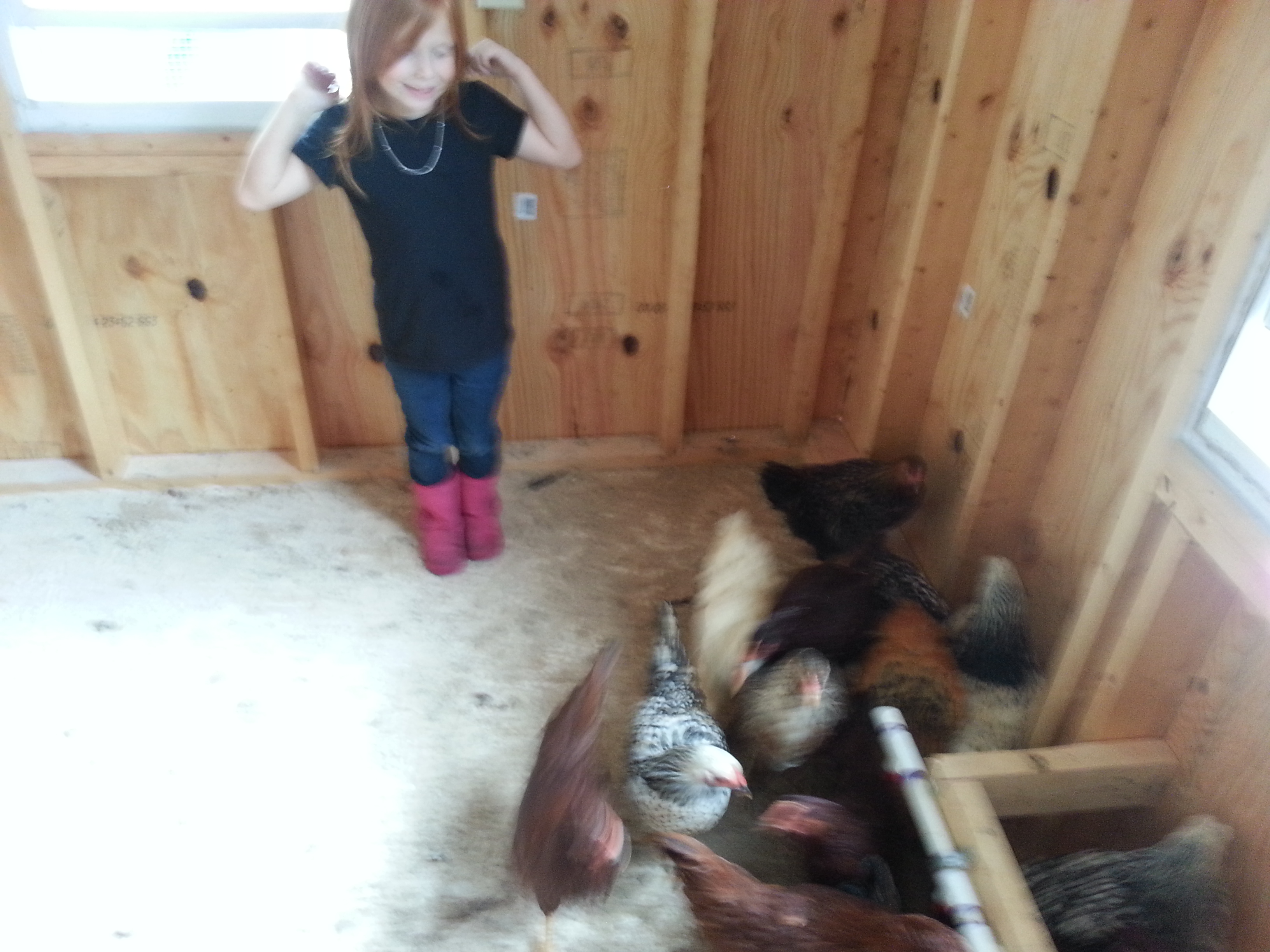 boo spending time with her chicks