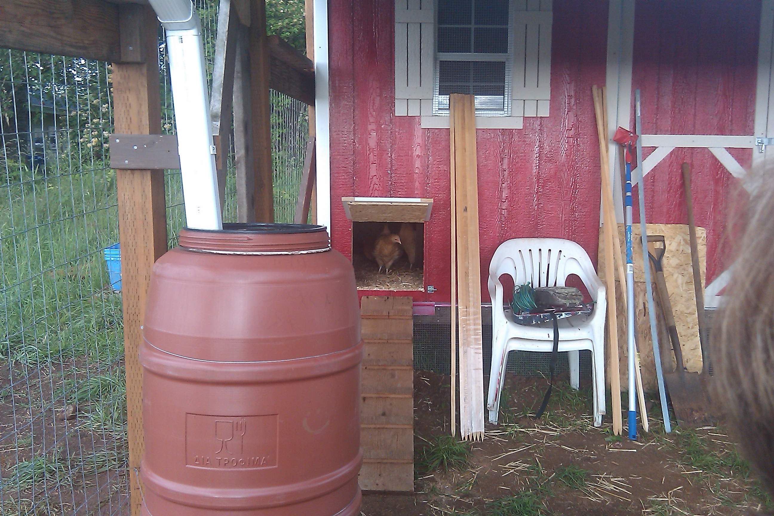 BO's taking 1 small step for chickens...