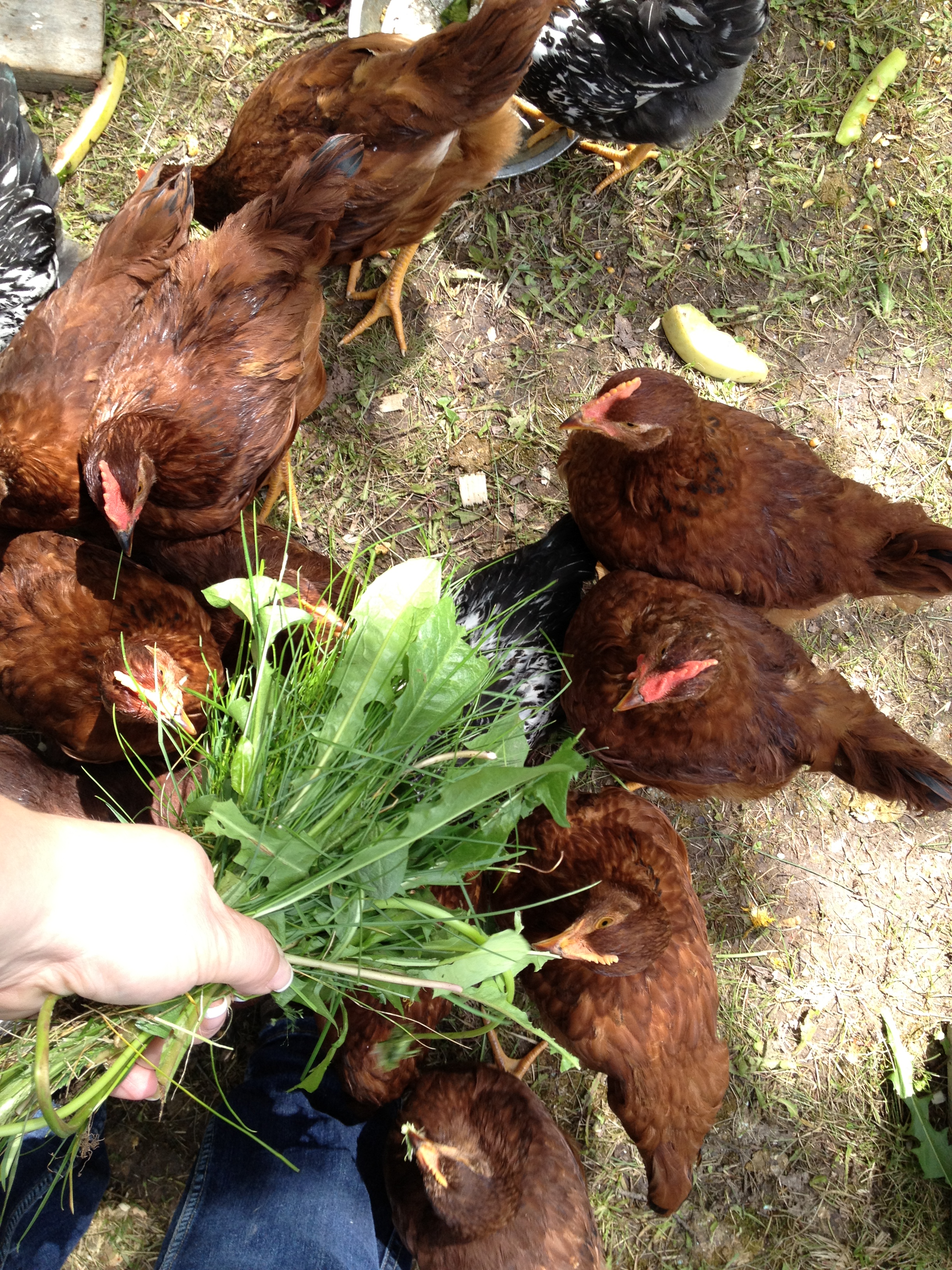 bouquet for the ladies