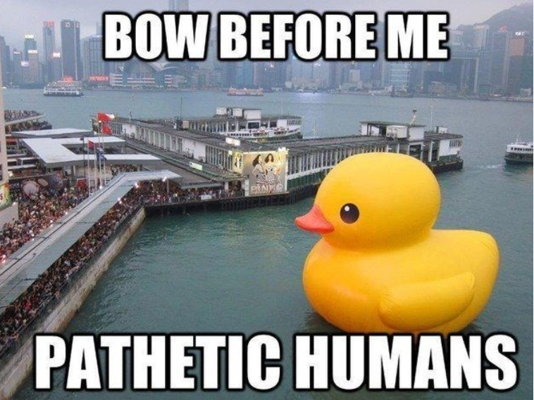 BowBeforeMeHumons
