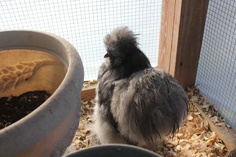 BP boy 5 months
Dec 2012