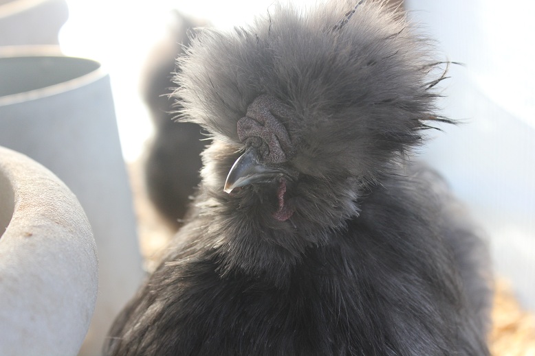 BP boy 5 months
Dec 2012