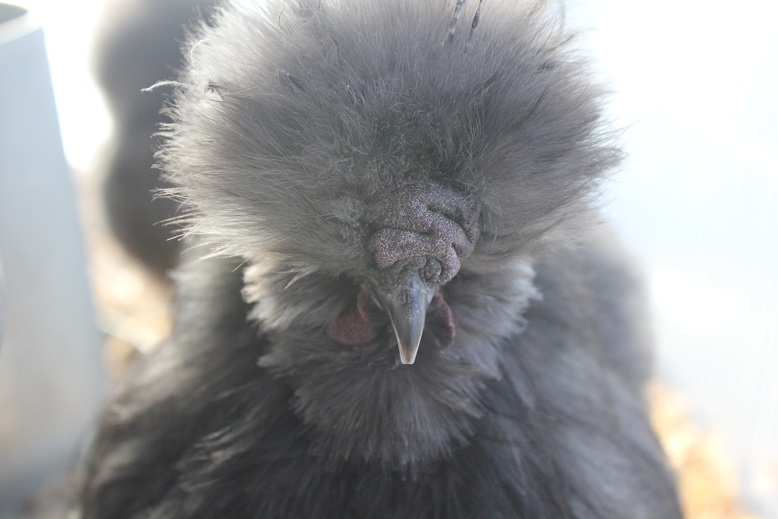 BP boy 5 months
Dec 2012