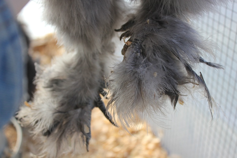 BP boy 5 months
Dec 2012