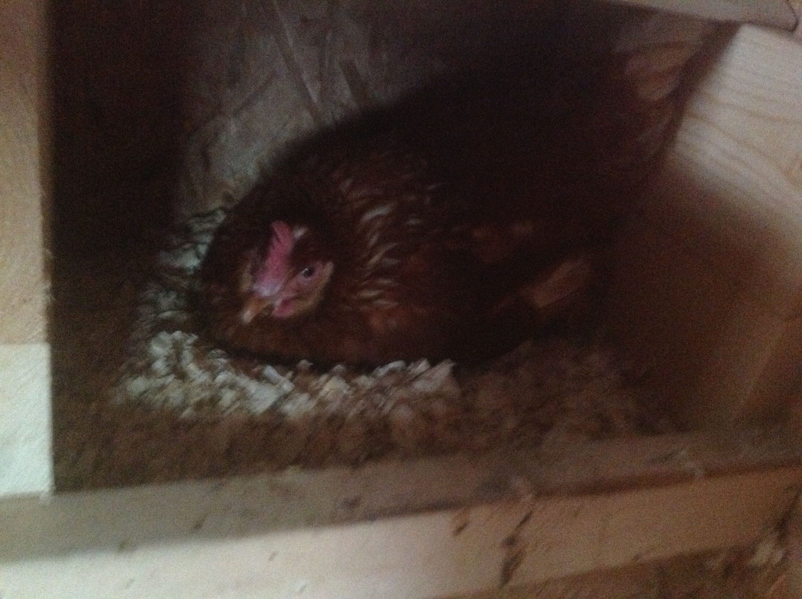 Breakfast soon to come! Hehe