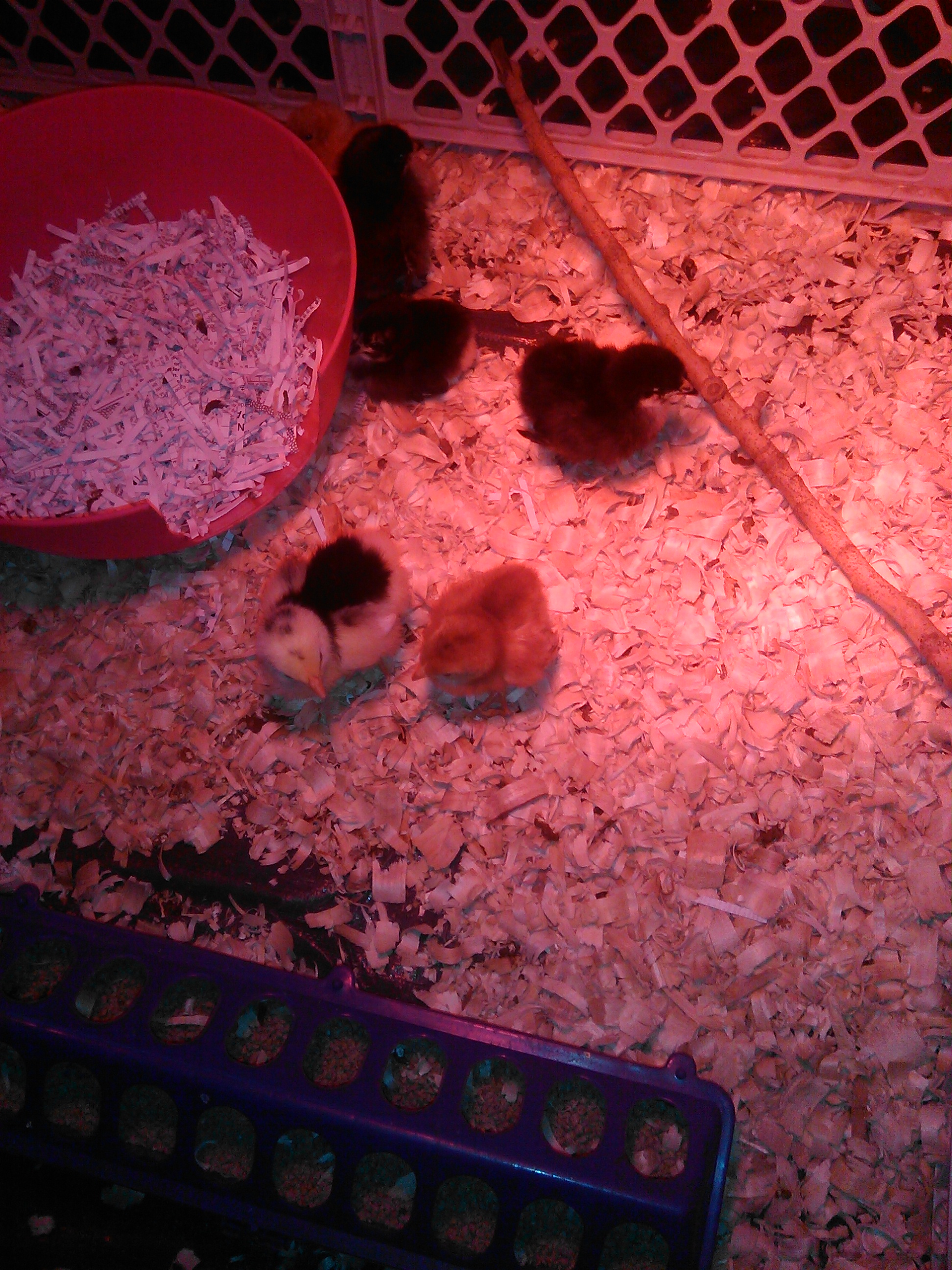 Breakfast time - 4/14/15