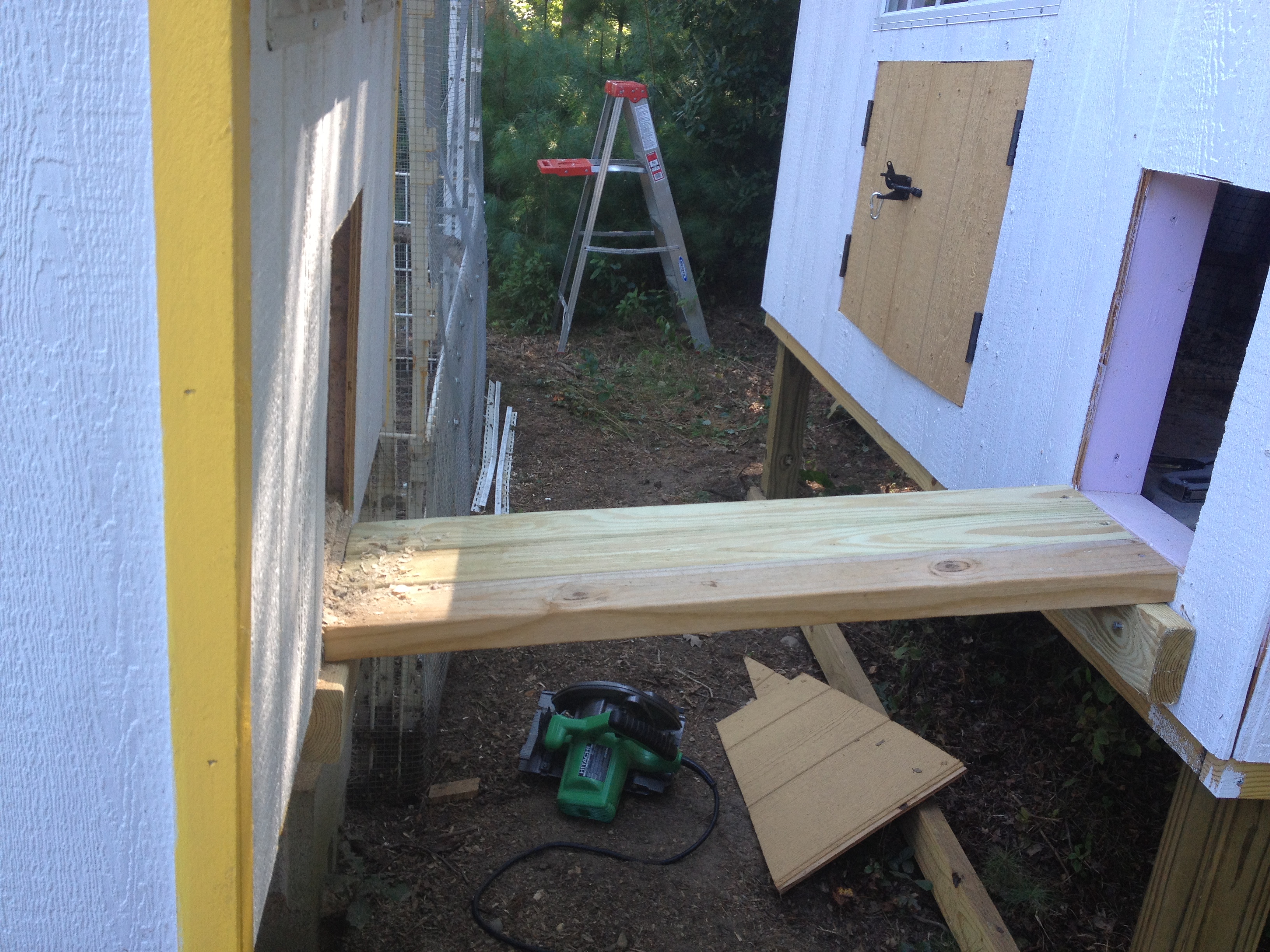 bridge between the coops is up